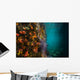 Reef Structure La Paz Wall Decal
