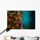 Reef Structure La Paz Wall Decal