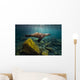 California Sea Lion Light Rays Wall Decal