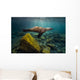 California Sea Lion Light Rays Wall Decal