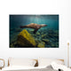 California Sea Lion Light Rays Wall Decal