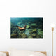 California Sea Lion Hunting Wall Decal