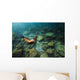 California Sea Lion Hunting Wall Decal