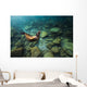 California Sea Lion Hunting Wall Decal
