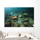 California Sea Lion Hunting Wall Decal