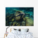 California Sea Lion Swimming Wall Decal
