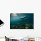 California Sea Lion Open Water Wall Decal
