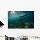 California Sea Lion Open Water Wall Decal
