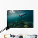 California Sea Lion Open Water Wall Decal