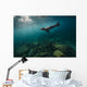California Sea Lion Open Water Wall Decal