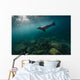 California Sea Lion Open Water Wall Decal
