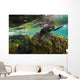 California Sea Lion Underwater Rock Wall Decal