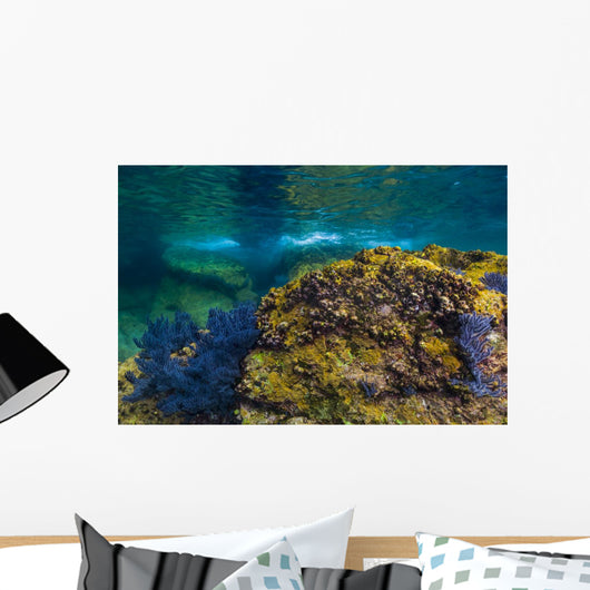 Reef Growth Rocks Isla Wall Decal