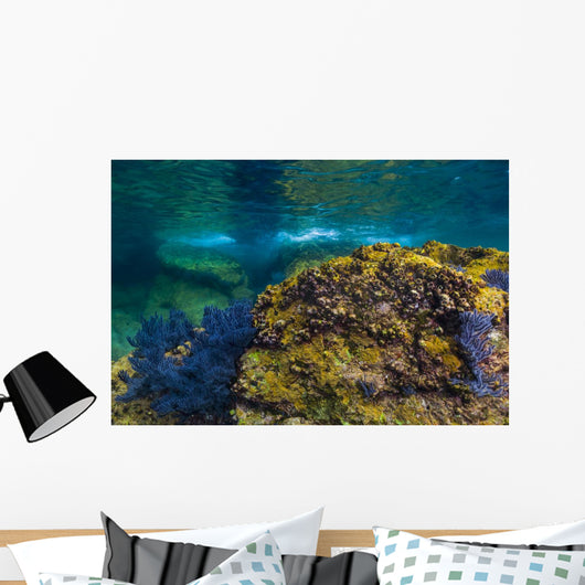 Reef Growth Rocks Isla Wall Decal