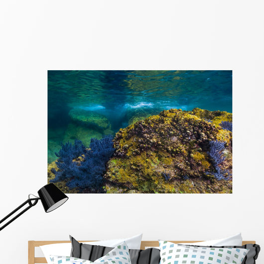 Reef Growth Rocks Isla Wall Decal