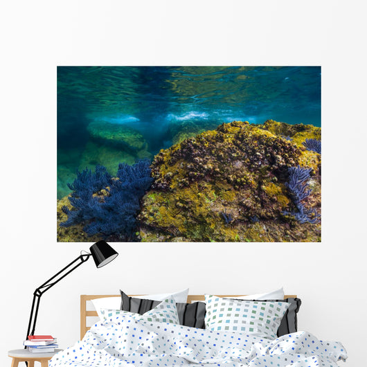 Reef Growth Rocks Isla Wall Decal