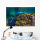 Reef Growth Rocks Isla Wall Decal