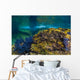 Reef Growth Rocks Isla Wall Decal