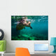 California Sea Lion Pair Wall Decal