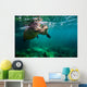 California Sea Lion Pair Wall Decal