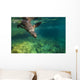 California Sea Lion Diving Wall Decal
