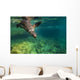 California Sea Lion Diving Wall Decal