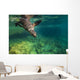 California Sea Lion Diving Wall Decal