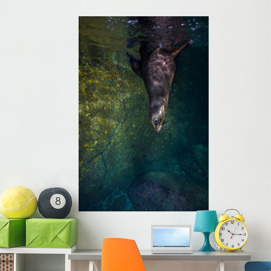 California Sea Lion Wall Decal
