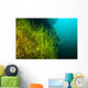 Vegetation Growing Loch Low-minn Wall Decal
