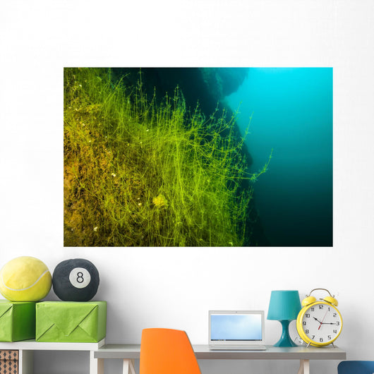 Vegetation Growing Loch Low-minn Wall Decal