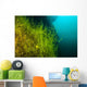 Vegetation Growing Loch Low-minn Wall Decal