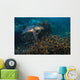 Hawksbille Sea Turtle Malaysia Wall Decal