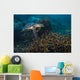 Hawksbille Sea Turtle Malaysia Wall Decal