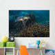 Hawksbille Sea Turtle Malaysia Wall Decal