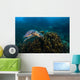 Hawksbille Sea Turtle Malaysia Top Head Wall Decal