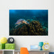 Hawksbille Sea Turtle Malaysia Top Head Wall Decal