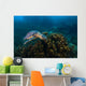 Hawksbille Sea Turtle Malaysia Top Head Wall Decal