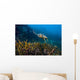 Hawksbille Sea Turtle Malaysia Swimming Wall Decal