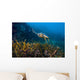 Hawksbille Sea Turtle Malaysia Swimming Wall Decal