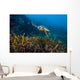 Hawksbille Sea Turtle Malaysia Swimming Wall Decal