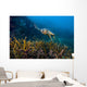 Hawksbille Sea Turtle Malaysia Swimming Wall Decal