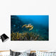 Hawksbille Sea Turtle Malaysia Front Face Wall Decal
