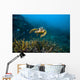 Hawksbille Sea Turtle Malaysia Front Face Wall Decal