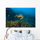 Hawksbille Sea Turtle Malaysia Front Face Wall Decal