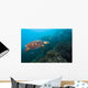 Hawksbille Sea Turtle Malaysia Right Side Wall Decal
