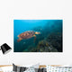 Hawksbille Sea Turtle Malaysia Right Side Wall Decal
