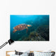 Hawksbille Sea Turtle Malaysia Right Side Wall Decal