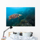 Hawksbille Sea Turtle Malaysia Right Side Wall Decal