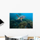 Hawksbille Sea Turtle Malaysia Coral Reef Wall Decal
