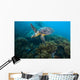 Hawksbille Sea Turtle Malaysia Coral Reef Wall Decal
